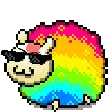 rainbowsheep