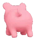 dancepig