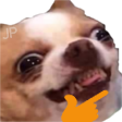 DogThink Discord emoji