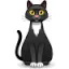 cat cat
