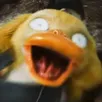 psyduckPanic