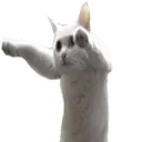 longcat1 longcat1