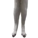 longcat3