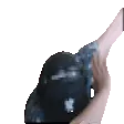 Dab2