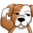 tormFlex