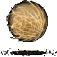 tumbleweed
