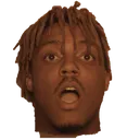 joose