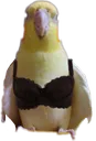 mmmm