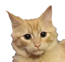 CATaslan