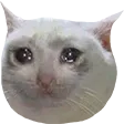 SadCat
