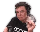elonsmonk