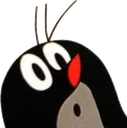 paulioh
