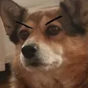 angry angry