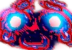 supremeorgsm