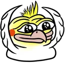 BirbHypers