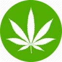 LCcannabis