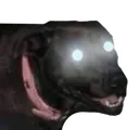 WAT