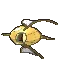 magikarp
