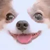 guccihappy guccihappy