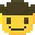 face_with_cowboy_hat