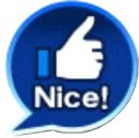Nice Nice