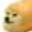 deg