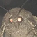 mOtH mOtH