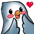kaoiAww