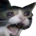 despair despair