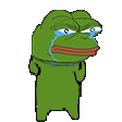 PepeWhyPls Discord Emoji
