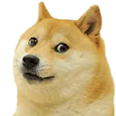 doge