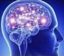 expanding_brain2