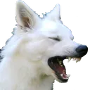 nolanKek