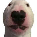 LunchStare