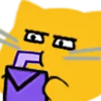 CatGlareSip