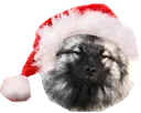 santabarney