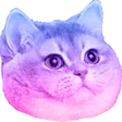 moakeeCat