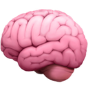:brain: Discord Emote
