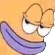 sandersHey