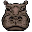 hippo