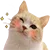 CattoWink