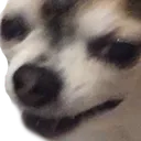 SMUGLR