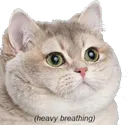 heavybreathing