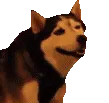 Sneeze