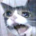 02sadcatto