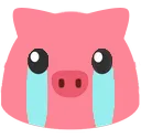cry