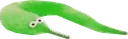 green_wrom