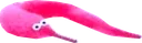 Pink_wrom