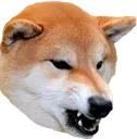 angery