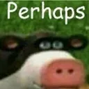 perhaps perhaps